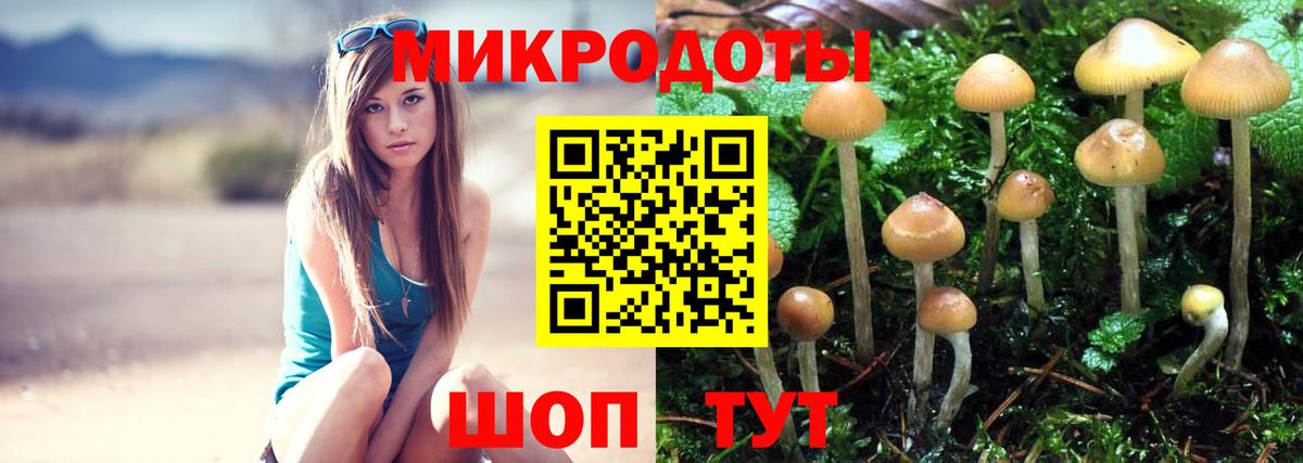Бошки Шишки Вольск