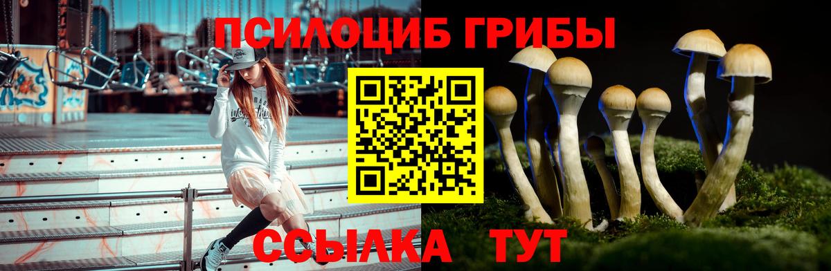 Галлюциногенные грибы прущие грибы  Псилоцибиновые грибы Psilocybine cubensis  Вольск  Вход с VPN 